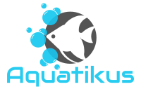 Aquatikus