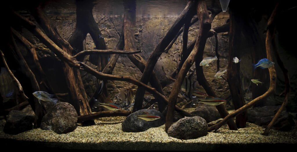 Aquarium with hardscape drif